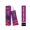 Raaga Professional Pro 10 Express Permanent Hair Color 1 Black 90g