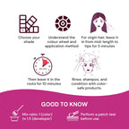 Raaga Professional Pro 10 Express Permanent Hair Color 1 Black 90g