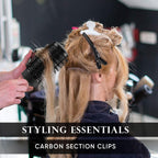 Carbon Section Clips (Pack of 4)