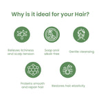 Sebamed Anti Dry Revitalizing Shampoo 200ml