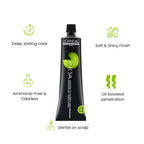 Loreal INOA Parts Shade 60GM 4.20